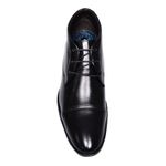 bota-democrata-255107-001-cima
