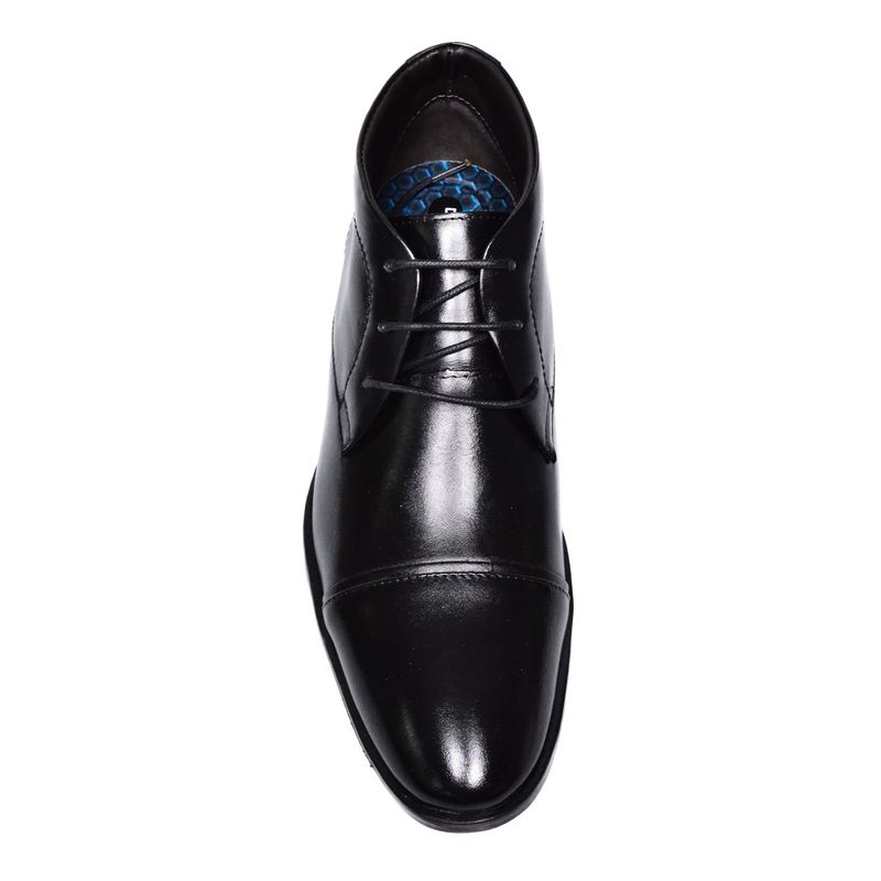 bota-democrata-255107-001-cima