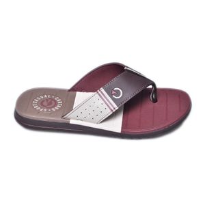 Chinelo Grendene Cartago Marrom Masculino