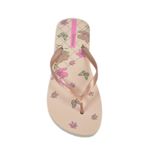 chinelo-ipanema-26571-an505-cima